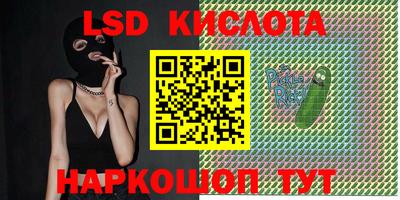 spice Кандалакша