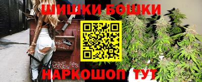 гидропоника Камышлов