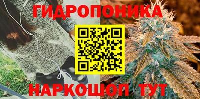 мяу мяу кристалл Канаш
