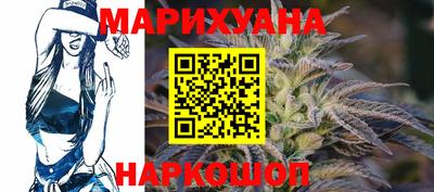 гидропоника Камышлов