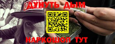 гидропоника Камышлов