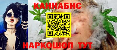 гидропоника Камышлов