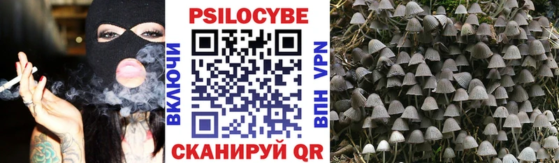 Псилоцибиновые грибы прущие грибы  Светлоград 