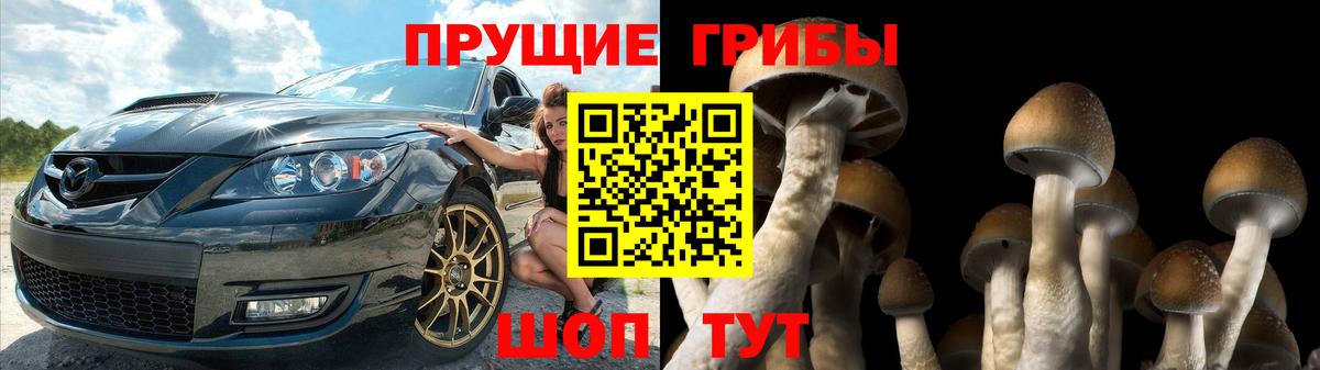 Псилоцибиновые грибы ЛСД  Вход с VPN  Светлоград 